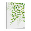 Helecho Cilantrillo - Blanca Aurora | Cuadro decorativo de Canvas Lab