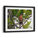 Silencio - Hugo Segura | Cuadro decorativo de Canvas Lab