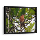 Silencio - Hugo Segura | Cuadro decorativo de Canvas Lab