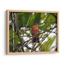 Silencio - Hugo Segura | Cuadro decorativo de Canvas Lab