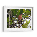 Silencio - Hugo Segura | Cuadro decorativo de Canvas Lab