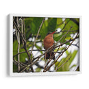 Silencio - Hugo Segura | Cuadro decorativo de Canvas Lab