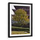 Gran Árbol, Tokio, Japón - Luis Velasco | Cuadro decorativo de Canvas Lab