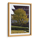 Gran Árbol, Tokio, Japón - Luis Velasco | Cuadro decorativo de Canvas Lab