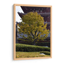 Gran Árbol, Tokio, Japón - Luis Velasco | Cuadro decorativo de Canvas Lab
