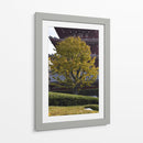 Gran Árbol, Tokio, Japón - Luis Velasco | Cuadro decorativo de Canvas Lab