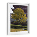 Gran Árbol, Tokio, Japón - Luis Velasco | Cuadro decorativo de Canvas Lab