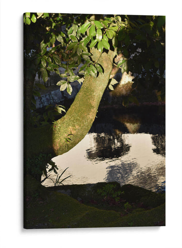 Luz de Sol - Luis Velasco | Cuadro decorativo de Canvas Lab