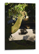 Luz de Sol - Luis Velasco | Cuadro decorativo de Canvas Lab