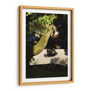 Luz de Sol - Luis Velasco | Cuadro decorativo de Canvas Lab