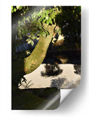 Luz de Sol - Luis Velasco | Cuadro decorativo de Canvas Lab