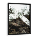 Corteza - Hugo Segura | Cuadro decorativo de Canvas Lab