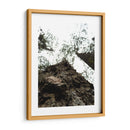 Corteza - Hugo Segura | Cuadro decorativo de Canvas Lab