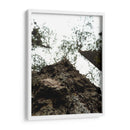 Corteza - Hugo Segura | Cuadro decorativo de Canvas Lab