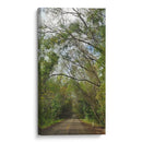 Carretera - Hugo Segura | Cuadro decorativo de Canvas Lab