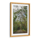 Carretera - Hugo Segura | Cuadro decorativo de Canvas Lab