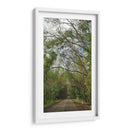 Carretera - Hugo Segura | Cuadro decorativo de Canvas Lab