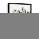 Calathea White Fusion - Blanca Aurora | Cuadro decorativo de Canvas Lab