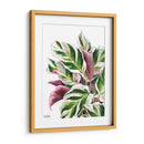 Calathea White Fusion - Blanca Aurora | Cuadro decorativo de Canvas Lab