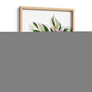 Calathea White Fusion - Blanca Aurora | Cuadro decorativo de Canvas Lab