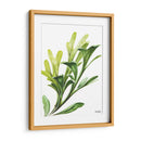 Helecho cuerno de alce - Blanca Aurora | Cuadro decorativo de Canvas Lab