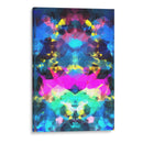 Punk - Rodrigo Barrera | Cuadro decorativo de Canvas Lab