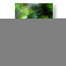 Serpentina - Rodrigo Barrera | Cuadro decorativo de Canvas Lab