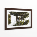 Ramas de Árbol, Tokio, Japón - Luis Velasco | Cuadro decorativo de Canvas Lab