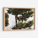 Ramas de Árbol, Tokio, Japón - Luis Velasco | Cuadro decorativo de Canvas Lab