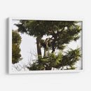 Ramas de Árbol, Tokio, Japón - Luis Velasco | Cuadro decorativo de Canvas Lab