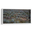 Kimbila - LuisFloresPhoto | Cuadro decorativo de Canvas Lab