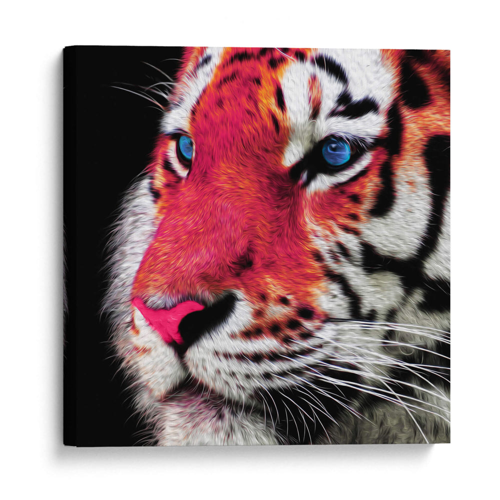 Tigre - Lofty&Me | Cuadro decorativo de Canvas Lab