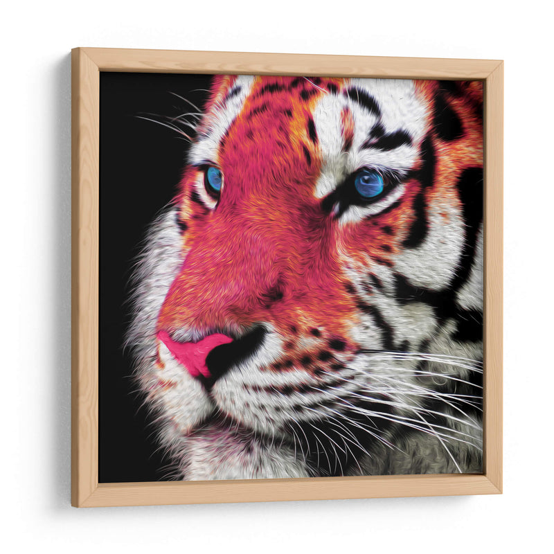Tigre - Lofty&Me | Cuadro decorativo de Canvas Lab