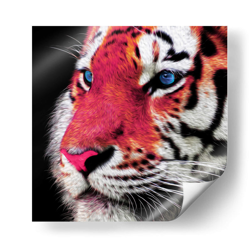 Tigre - Lofty&Me | Cuadro decorativo de Canvas Lab