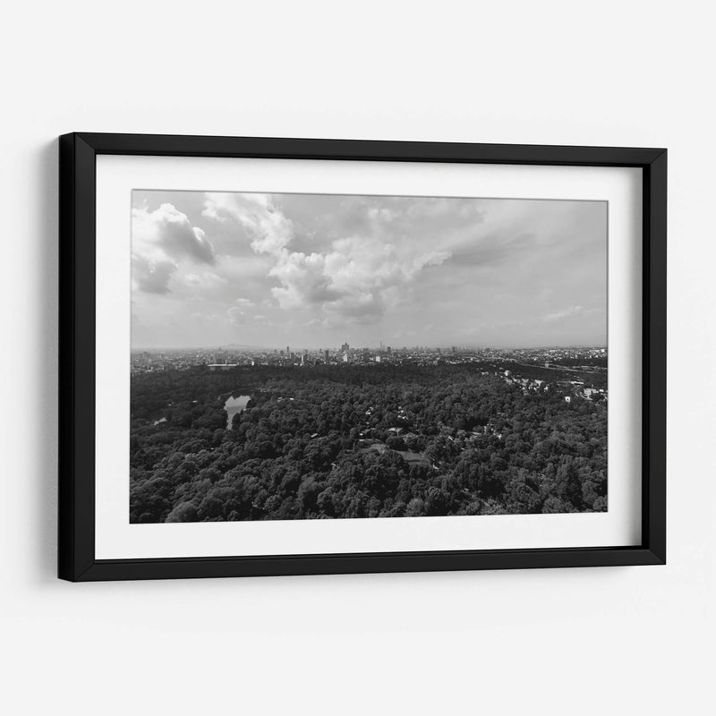 Bosque y Nubes - Bernardo Miranda | Cuadro decorativo de Canvas Lab