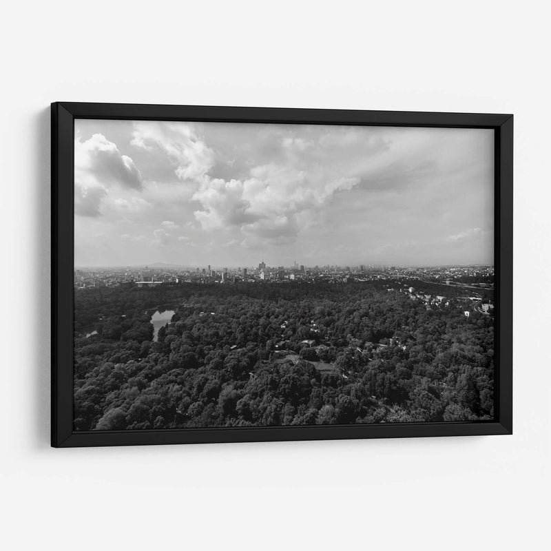 Bosque y Nubes - Bernardo Miranda | Cuadro decorativo de Canvas Lab