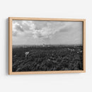 Bosque y Nubes - Bernardo Miranda | Cuadro decorativo de Canvas Lab