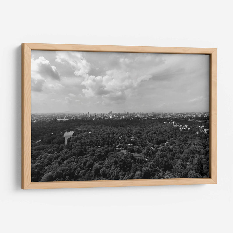 Bosque y Nubes - Bernardo Miranda | Cuadro decorativo de Canvas Lab