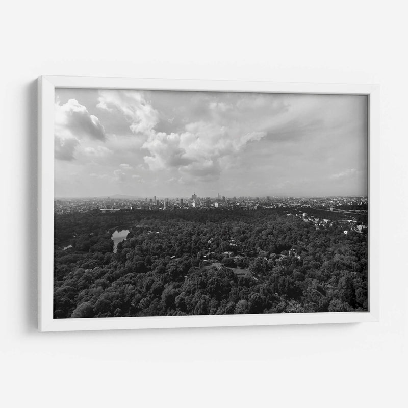 Bosque y Nubes - Bernardo Miranda | Cuadro decorativo de Canvas Lab