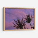 Colores de Atardecer - Bernardo Miranda | Cuadro decorativo de Canvas Lab