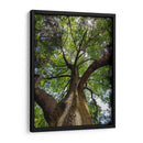 Corteza y Sol - Bernardo Miranda | Cuadro decorativo de Canvas Lab