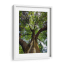 Corteza y Sol - Bernardo Miranda | Cuadro decorativo de Canvas Lab