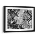 Dualidad II, Blanco y Negro - Bernardo Miranda | Cuadro decorativo de Canvas Lab