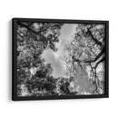 Dualidad II, Blanco y Negro - Bernardo Miranda | Cuadro decorativo de Canvas Lab