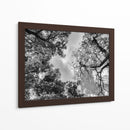 Dualidad II, Blanco y Negro - Bernardo Miranda | Cuadro decorativo de Canvas Lab