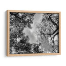 Dualidad II, Blanco y Negro - Bernardo Miranda | Cuadro decorativo de Canvas Lab