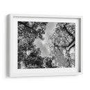 Dualidad II, Blanco y Negro - Bernardo Miranda | Cuadro decorativo de Canvas Lab