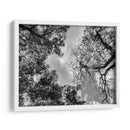 Dualidad II, Blanco y Negro - Bernardo Miranda | Cuadro decorativo de Canvas Lab