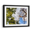 Dualidad II - Bernardo Miranda | Cuadro decorativo de Canvas Lab