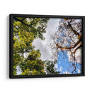 Dualidad II - Bernardo Miranda | Cuadro decorativo de Canvas Lab